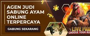 Situs Judi Sabung Ayam Terpercaya